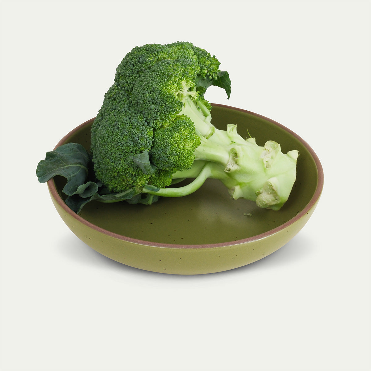 L'Assiette Everyday - Broccoli